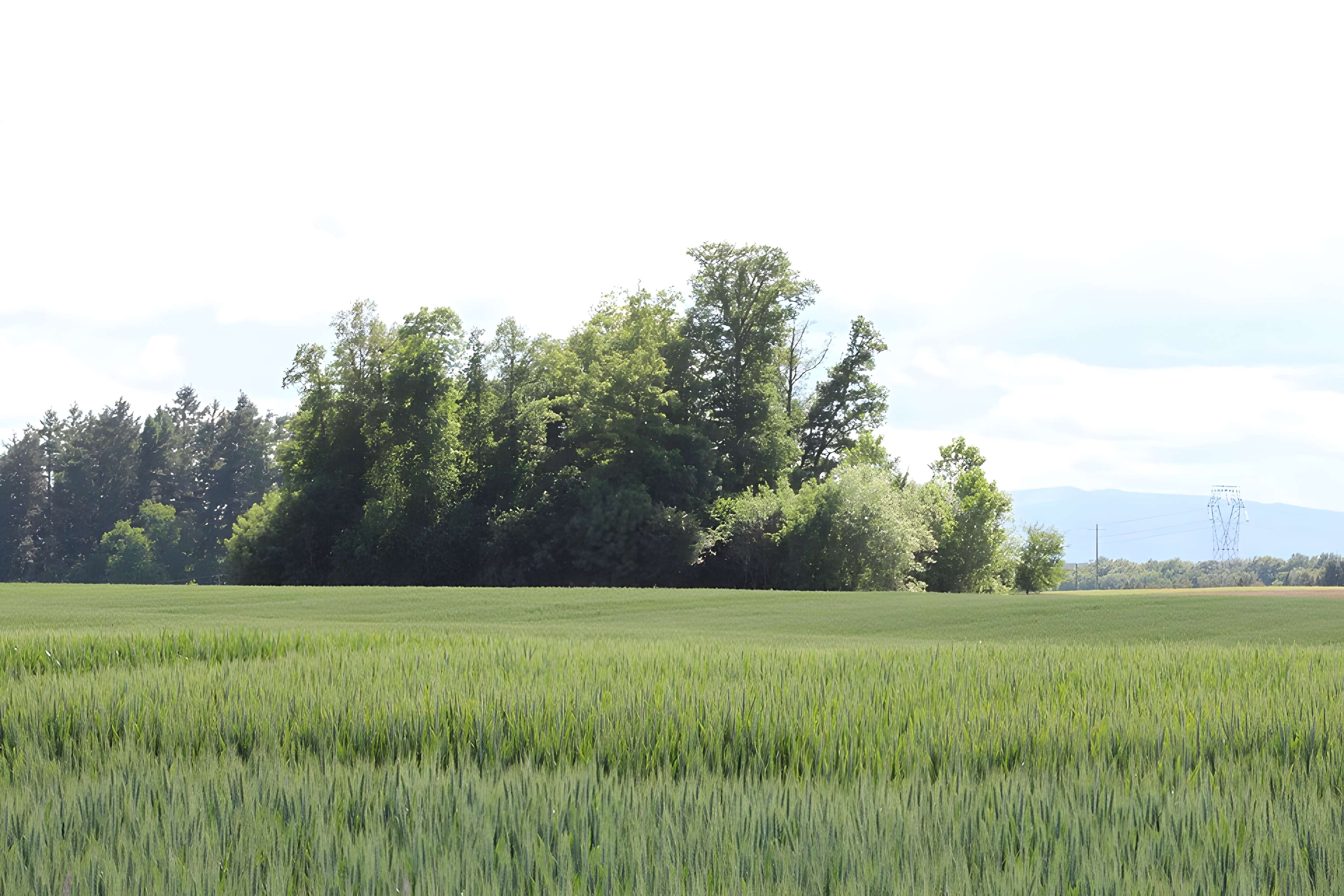 Vieux Bourg de L'Abergement-Clémenciat