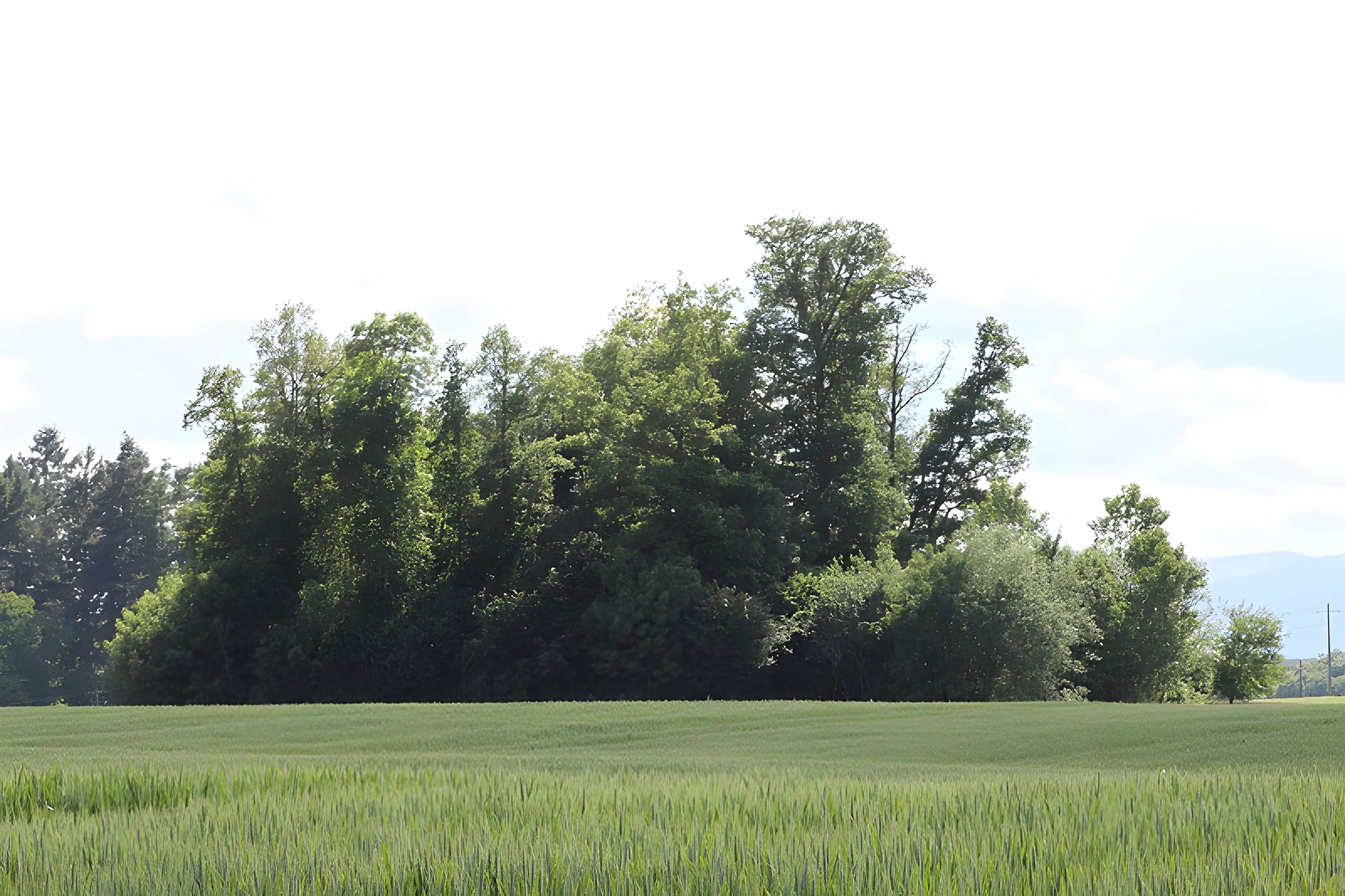 Vieux Bourg de L'Abergement-Clémenciat