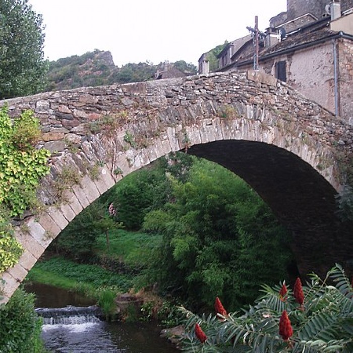 Photo de Vieux Pont de Brousse-le-Château
