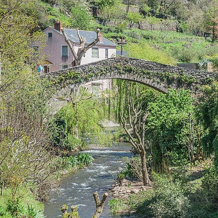 Photo de Vieux Pont de Brousse-le-Château