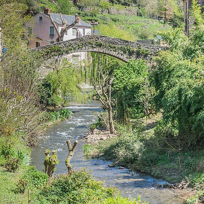 Photo de Vieux Pont de Brousse-le-Château