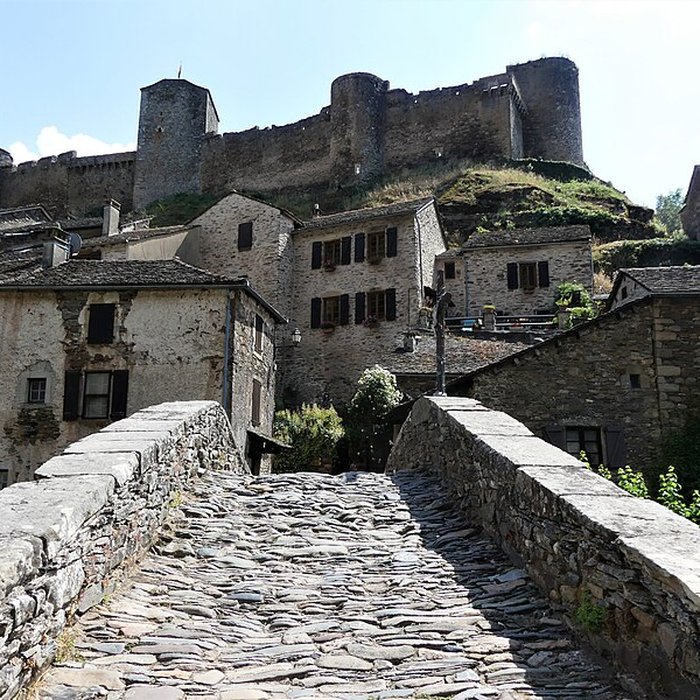 Photo de Vieux Pont de Brousse-le-Château