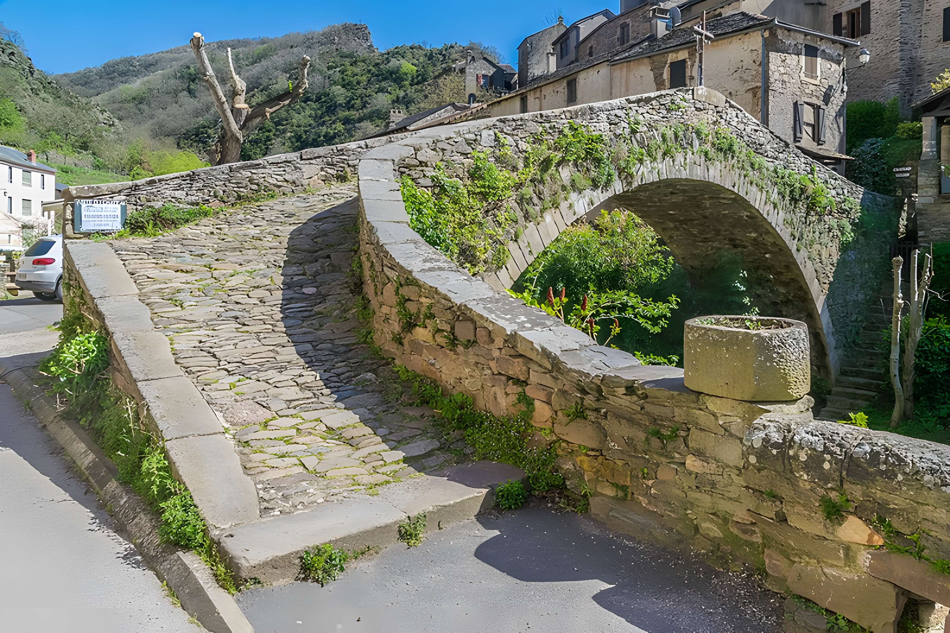 Vieux Pont de Brousse-le-Château