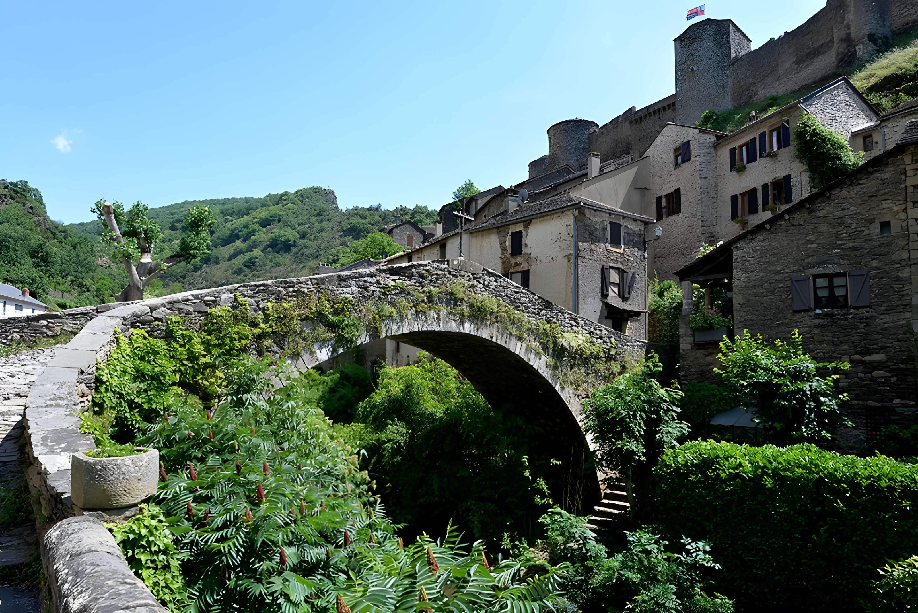 Vieux Pont de Brousse-le-Château