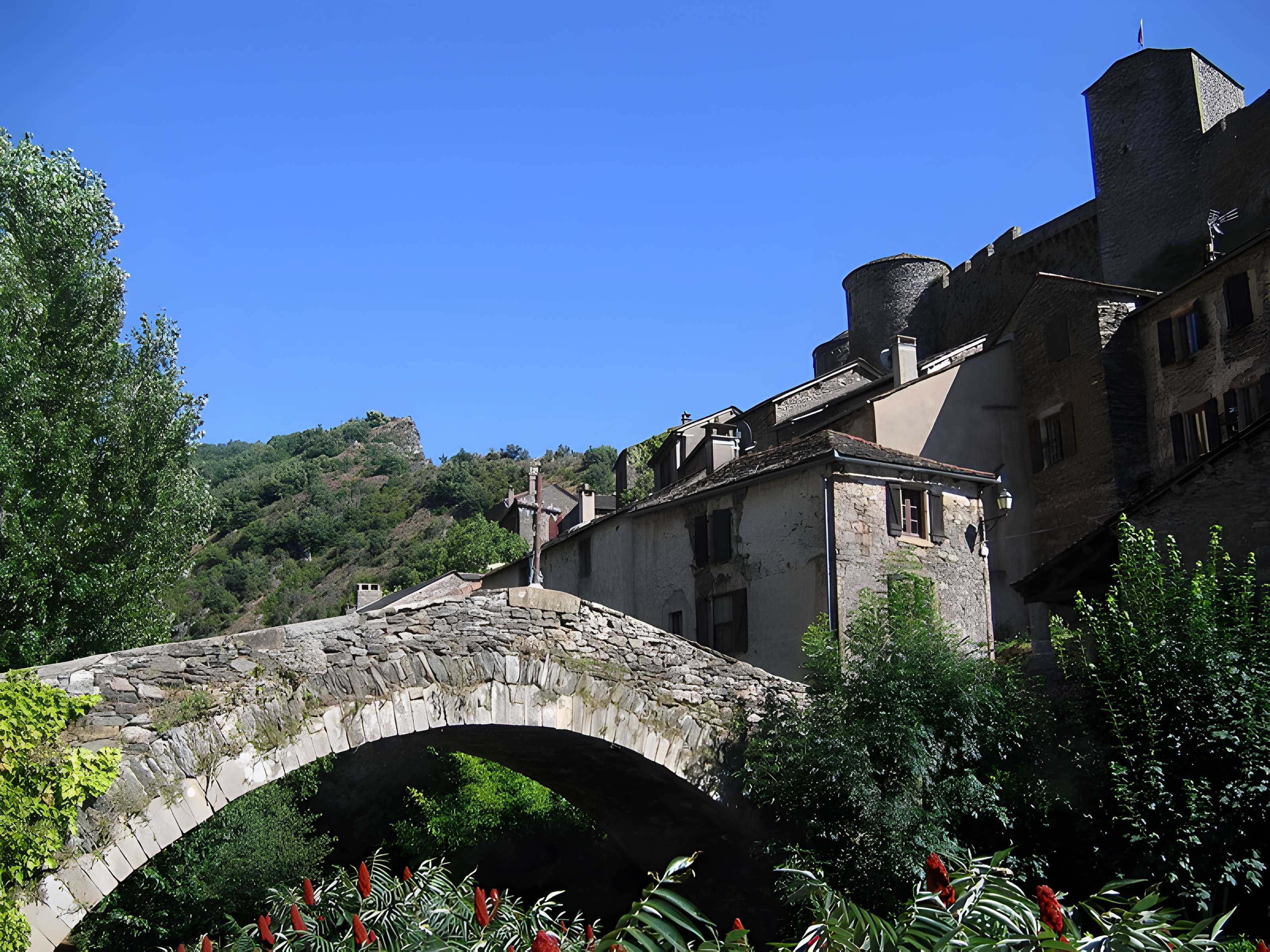 Vieux Pont de Brousse-le-Château