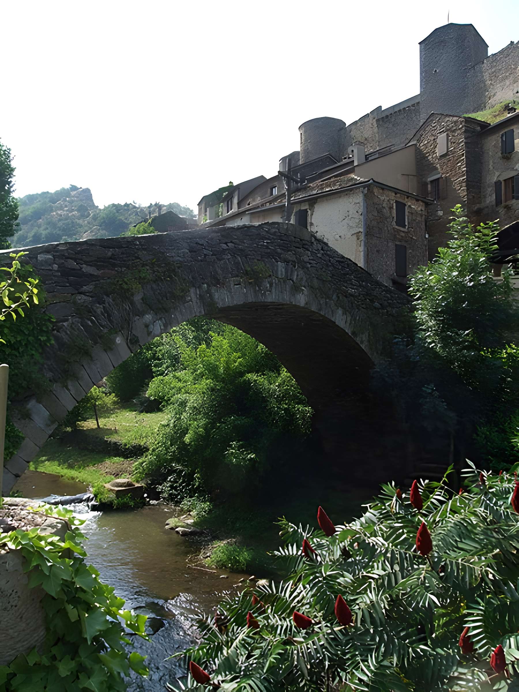 Vieux Pont de Brousse-le-Château