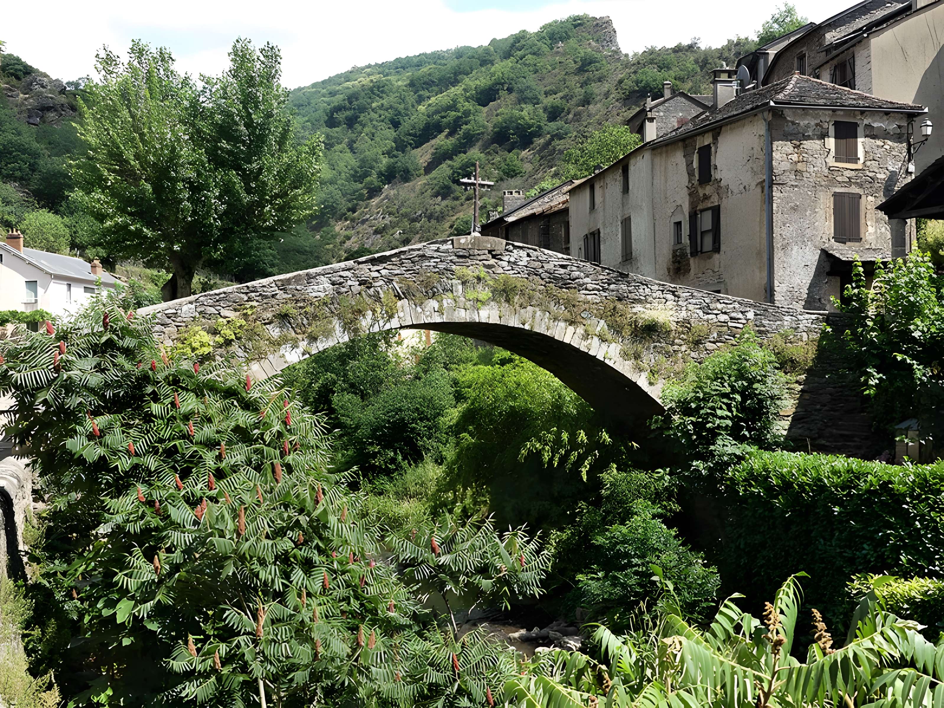 Vieux Pont de Brousse-le-Château