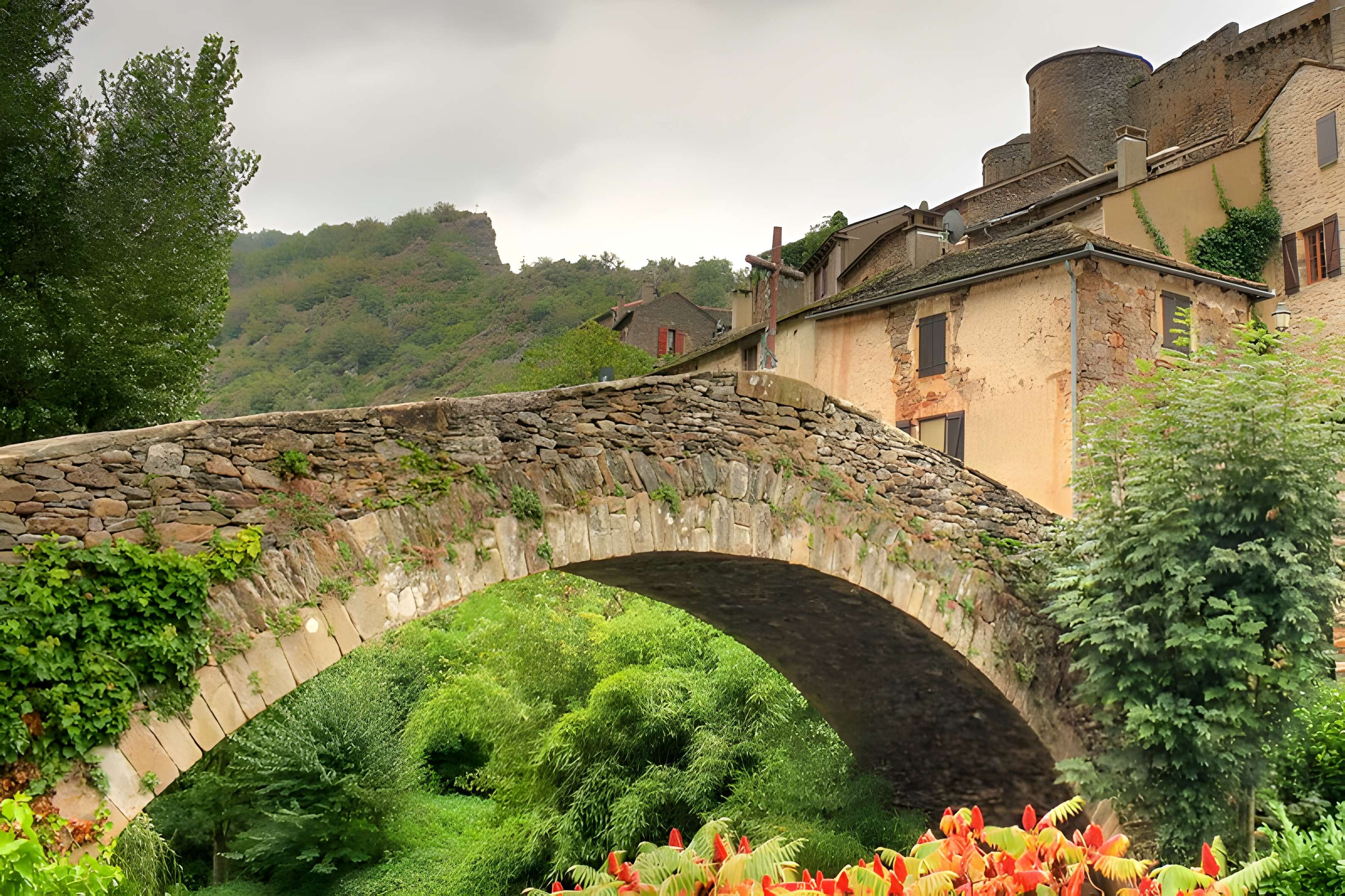 Vieux Pont de Brousse-le-Château
