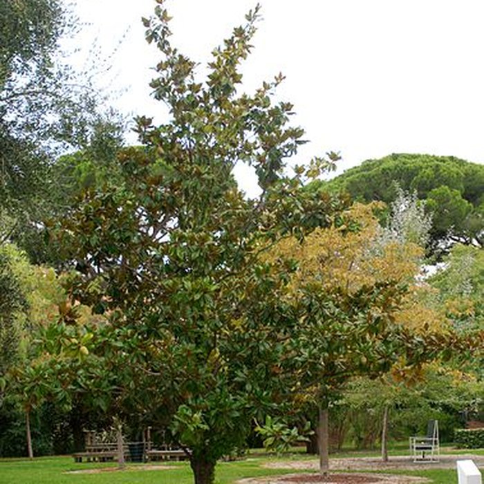 Photo de Ecole internationale dart de la villa Arson