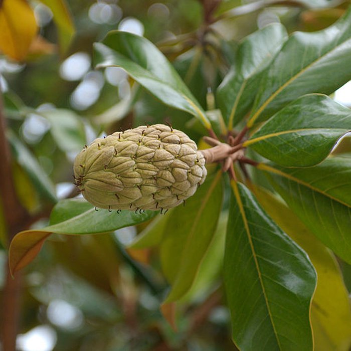 Photo de Ecole internationale dart de la villa Arson