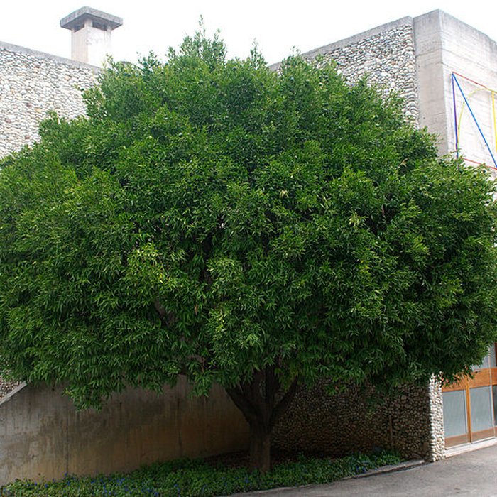 Photo de Ecole internationale dart de la villa Arson