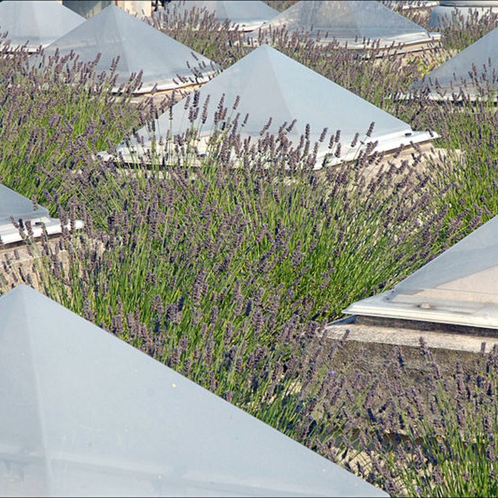 Photo de Ecole internationale dart de la villa Arson