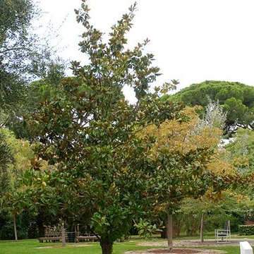 Ecole internationale dart de la villa Arson