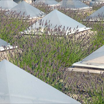 Ecole internationale dart de la villa Arson