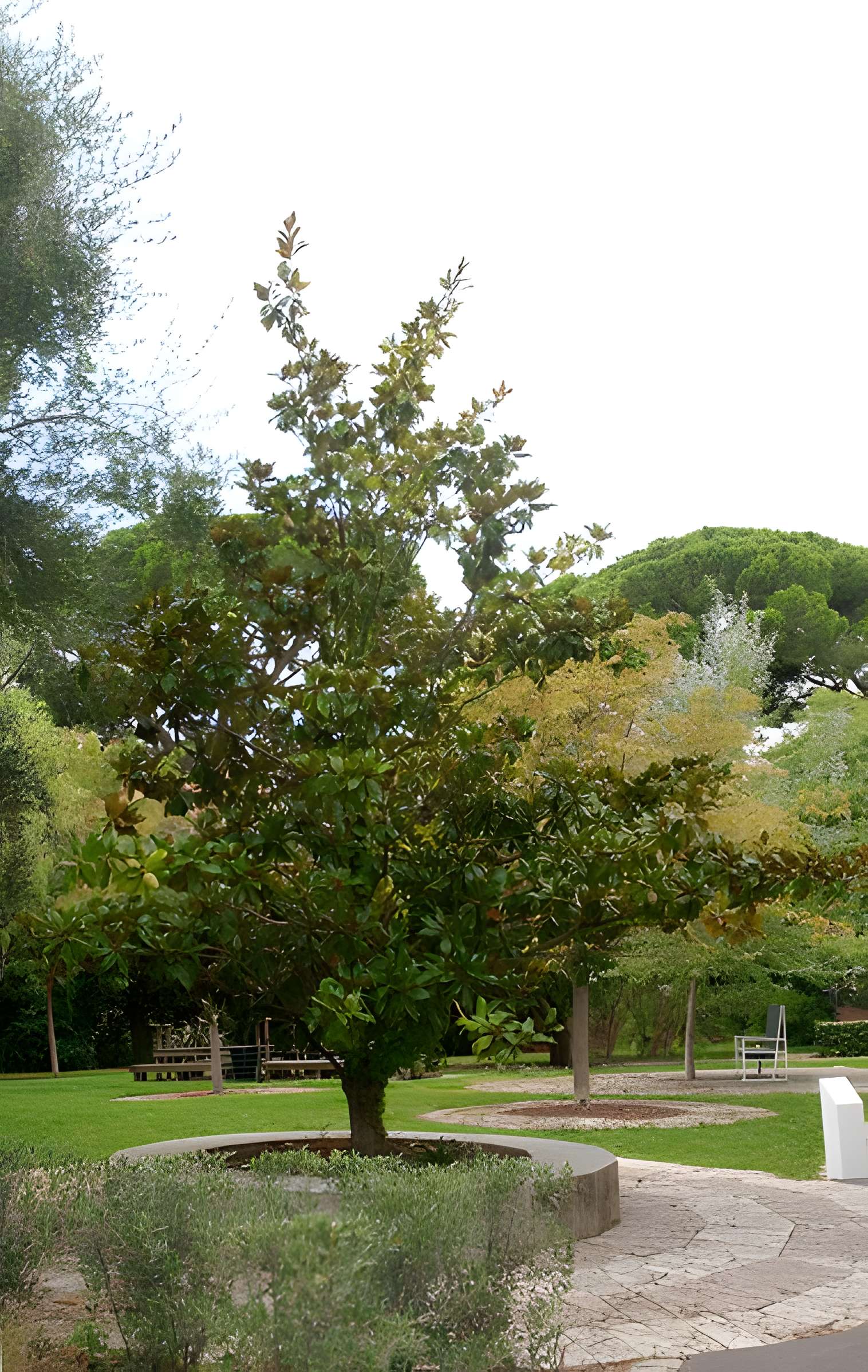 Ecole internationale d'art de la villa Arson