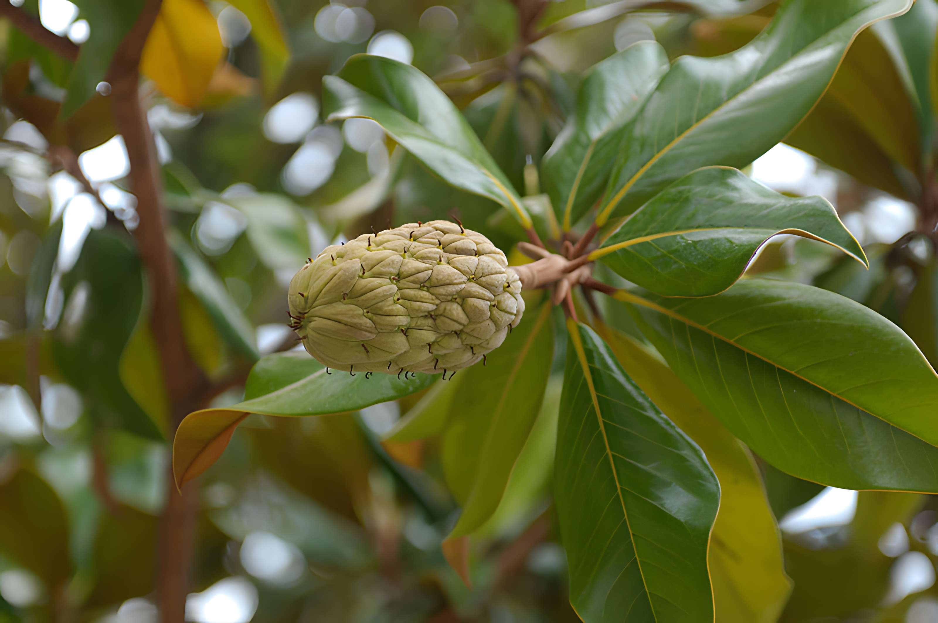 Ecole internationale d'art de la villa Arson
