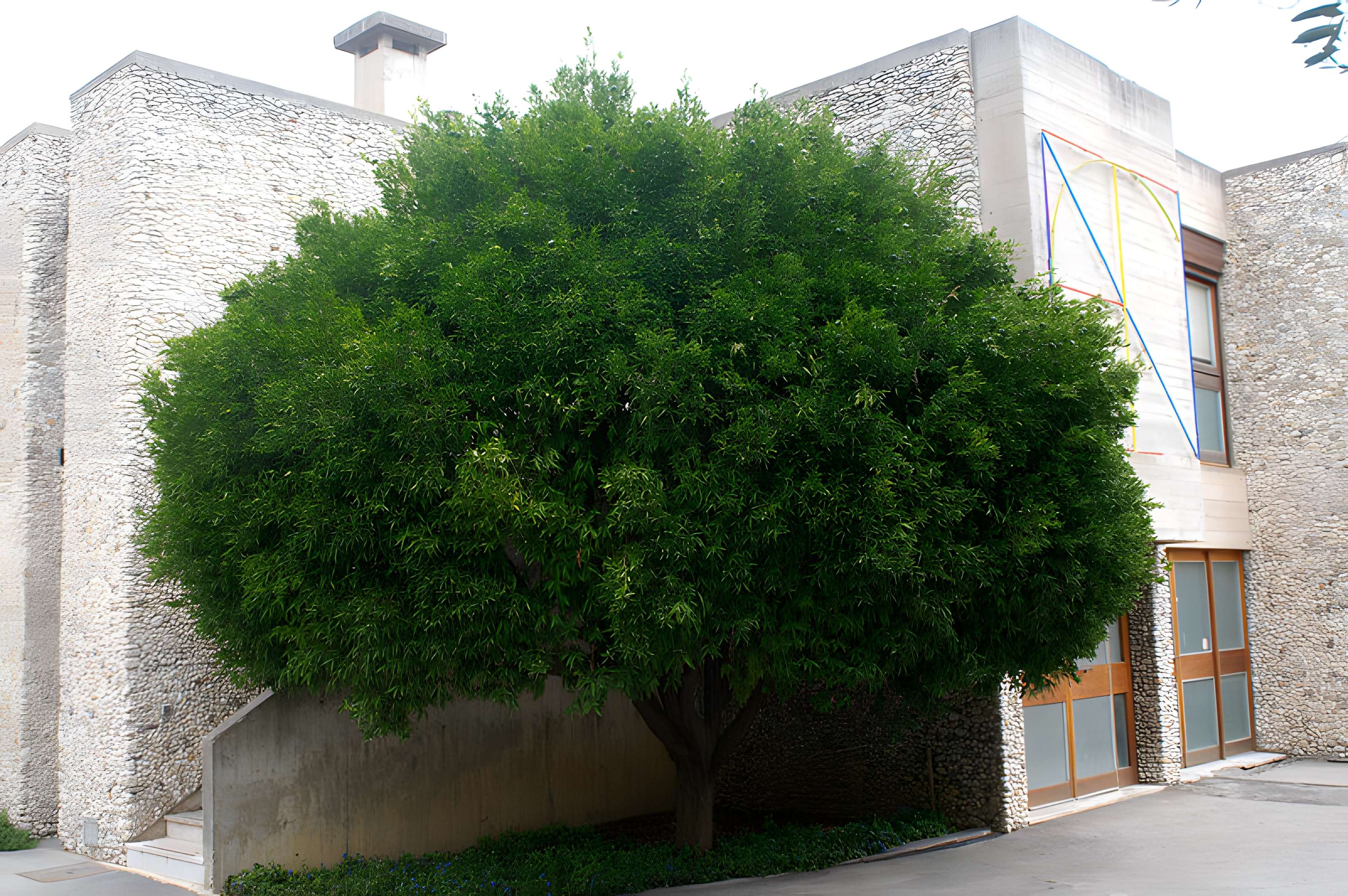 Ecole internationale d'art de la villa Arson