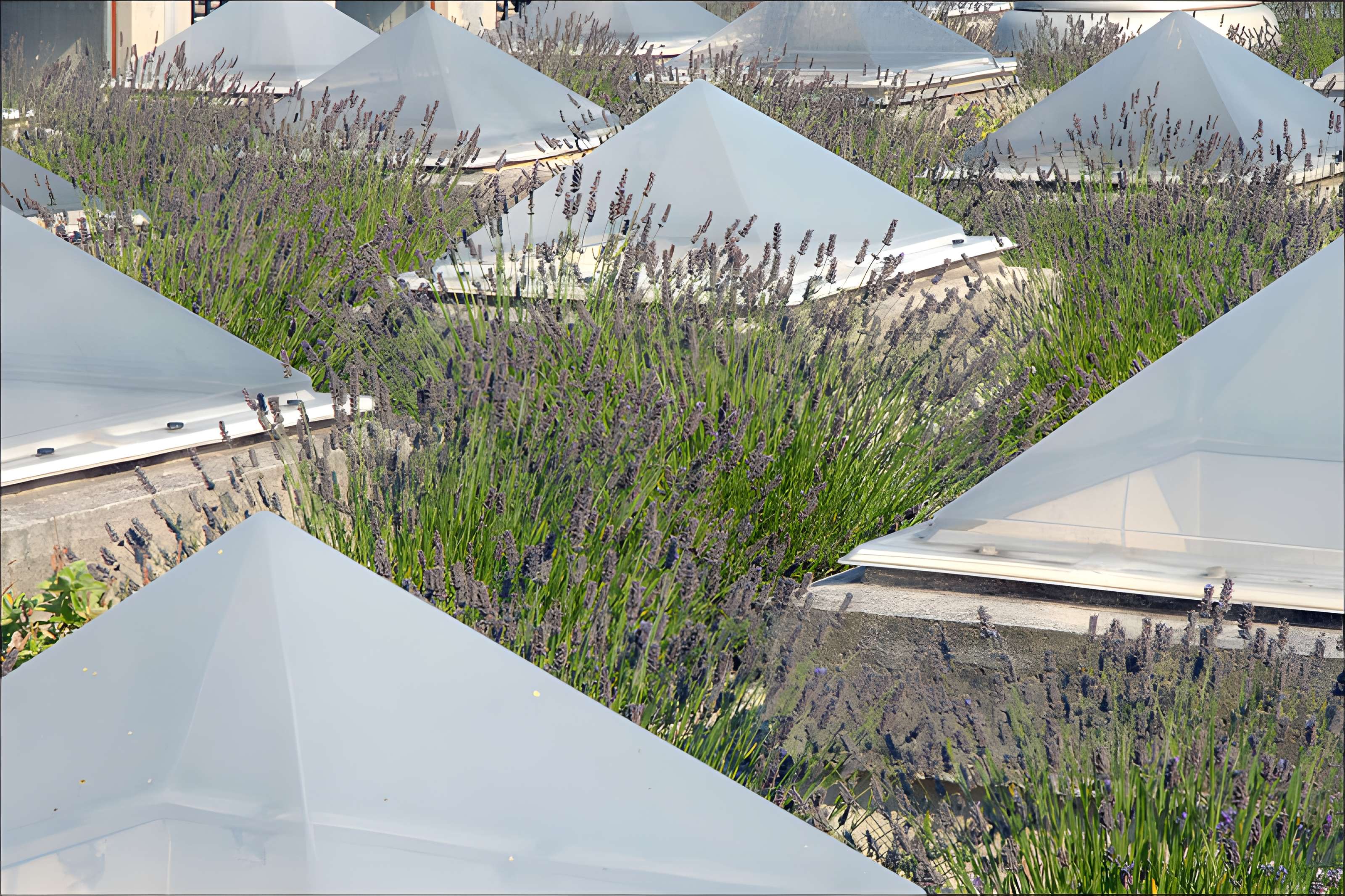 Ecole internationale d'art de la villa Arson