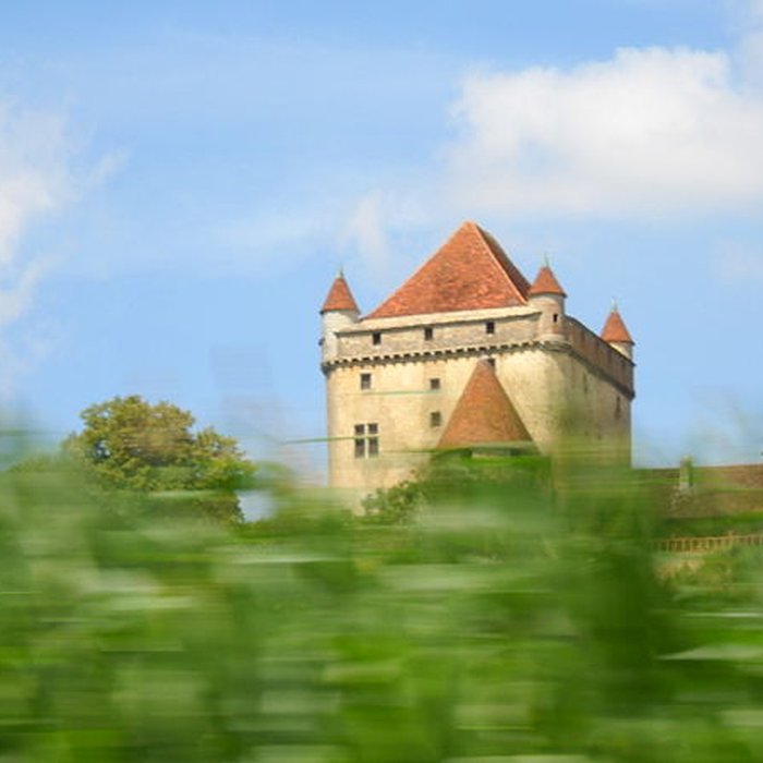 Photo de Château du Pin