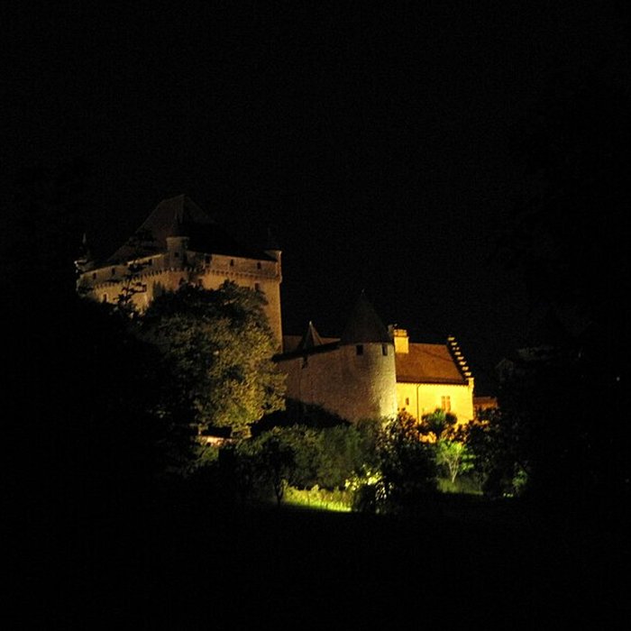 Photo de Château du Pin