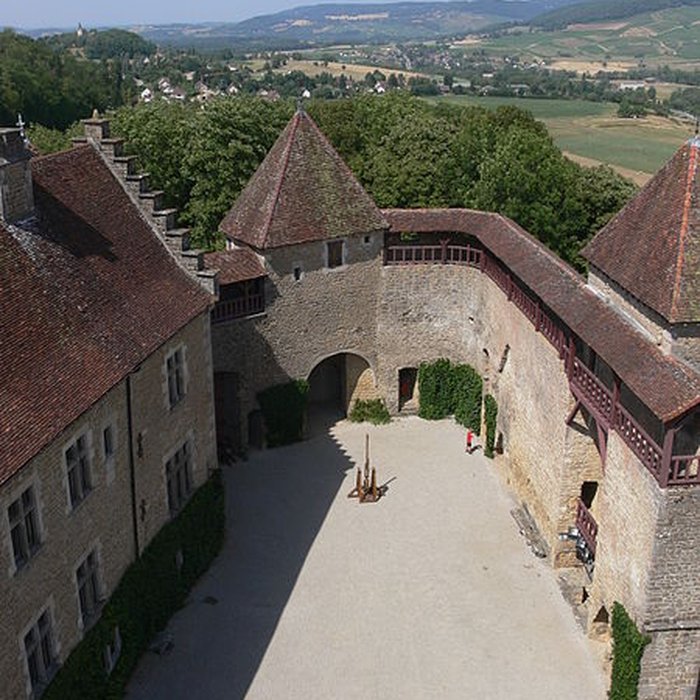 Photo de Château du Pin