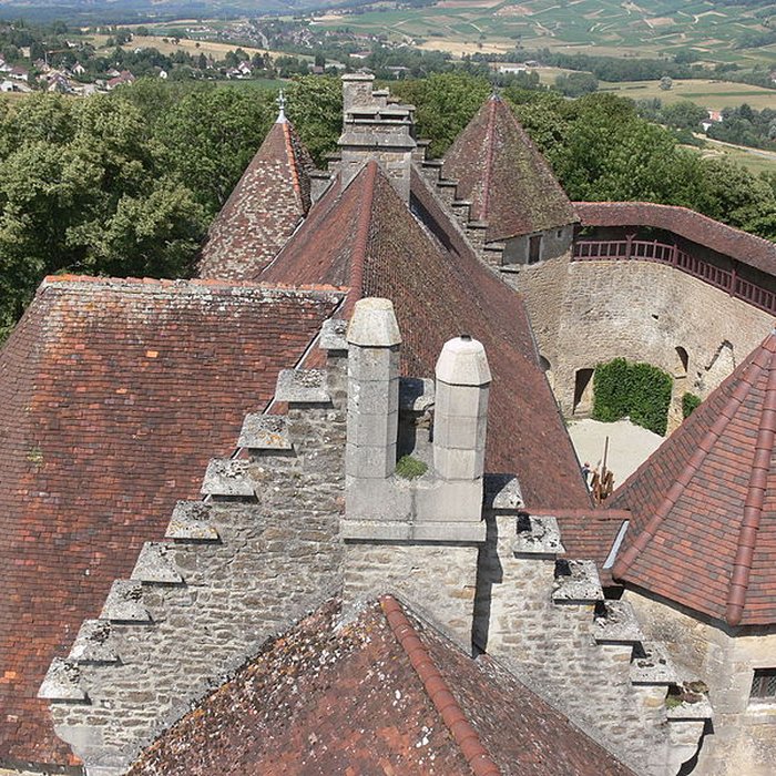Photo de Château du Pin