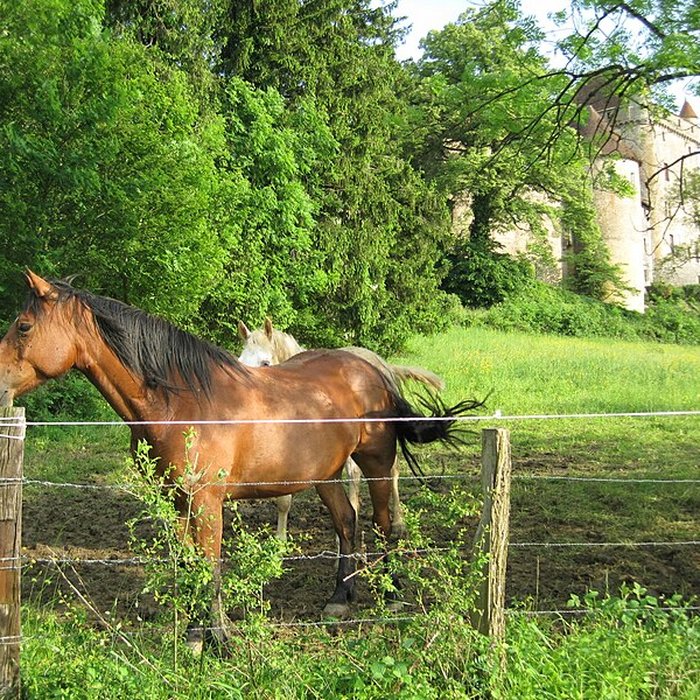 Photo de Château du Pin