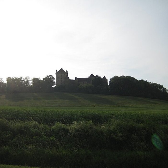 Photo de Château du Pin