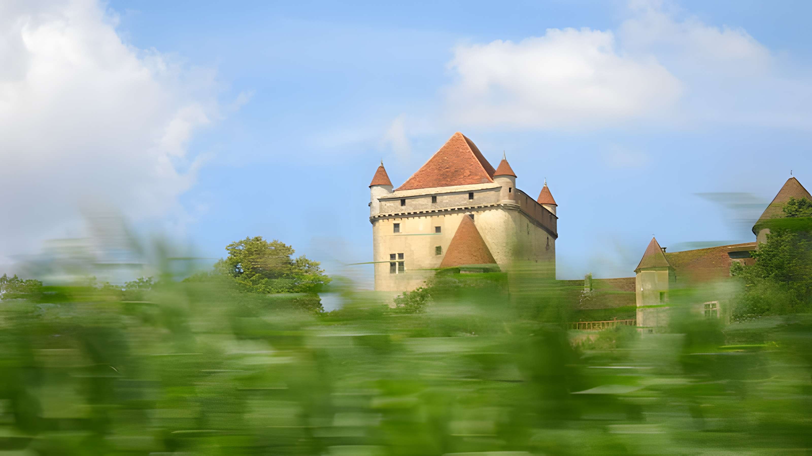Château du Pin