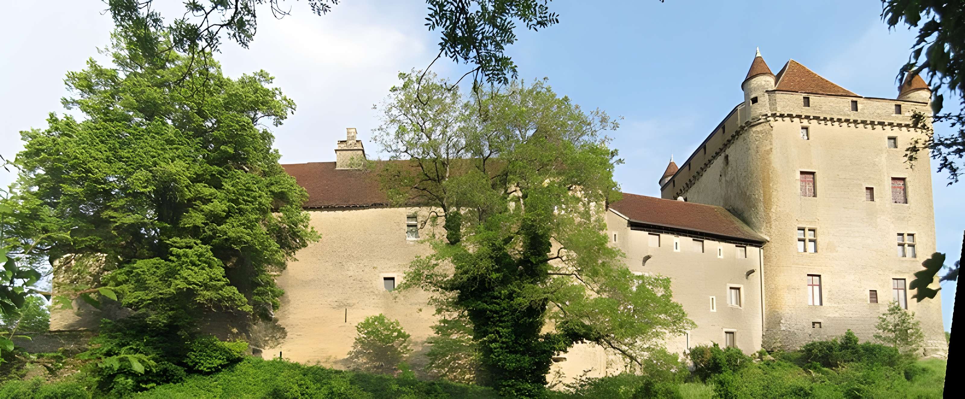 Château du Pin