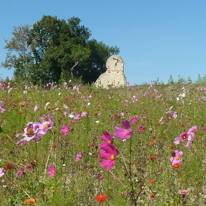 Photo de Villa gallo-romaine de la Coue dAuzenat à Brossac