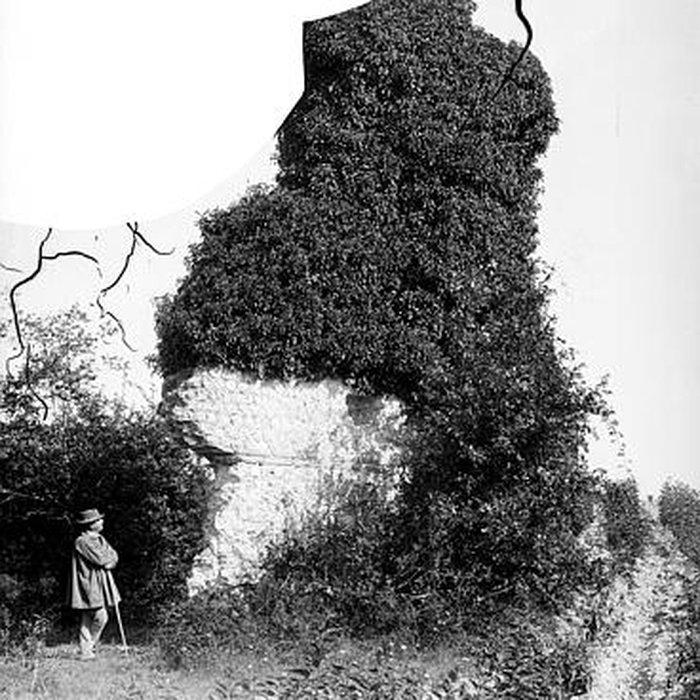 Photo de Villa gallo-romaine de la Coue dAuzenat à Brossac