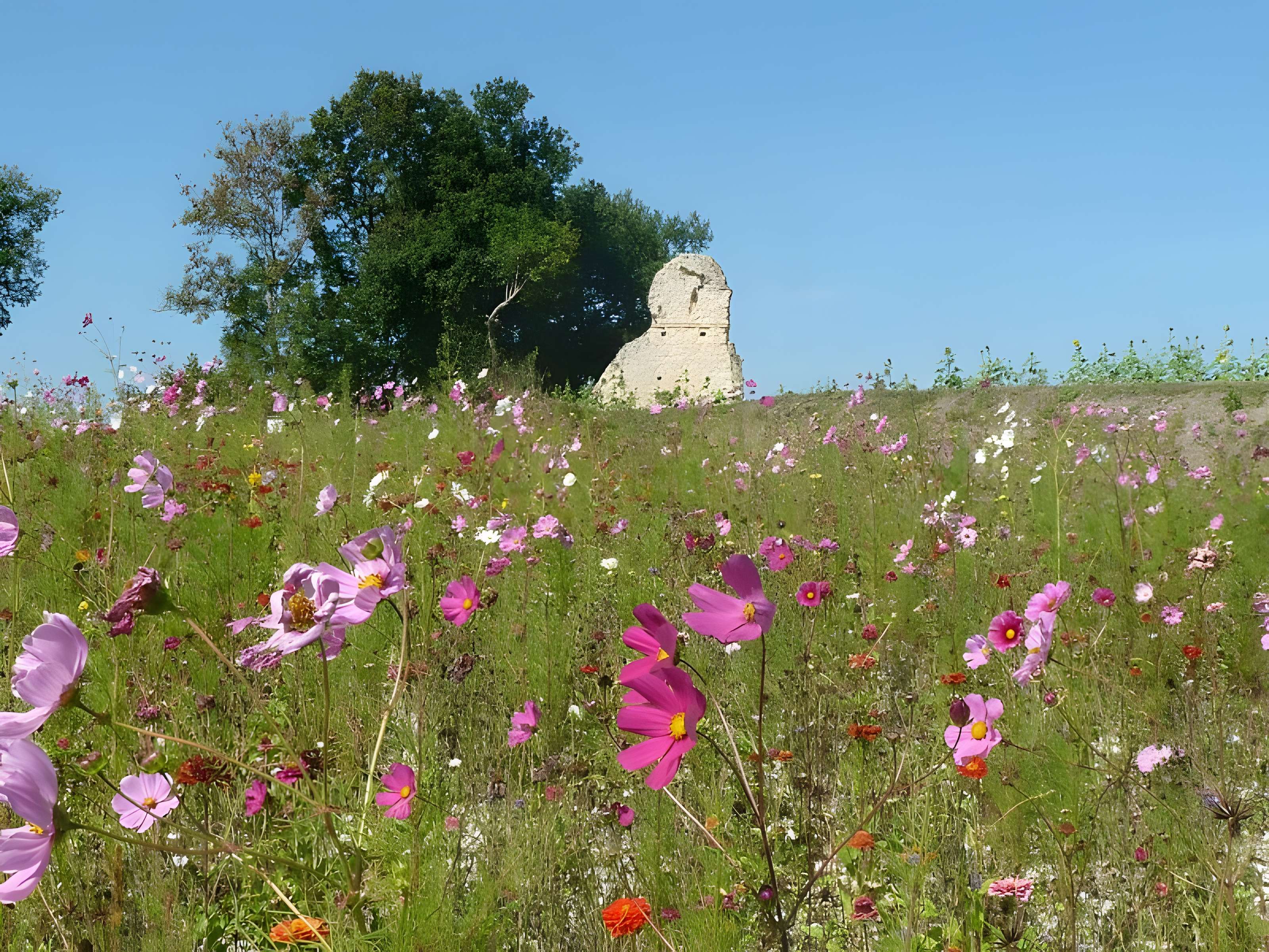 Villa gallo-romaine de la Coue d'Auzenat à Brossac 