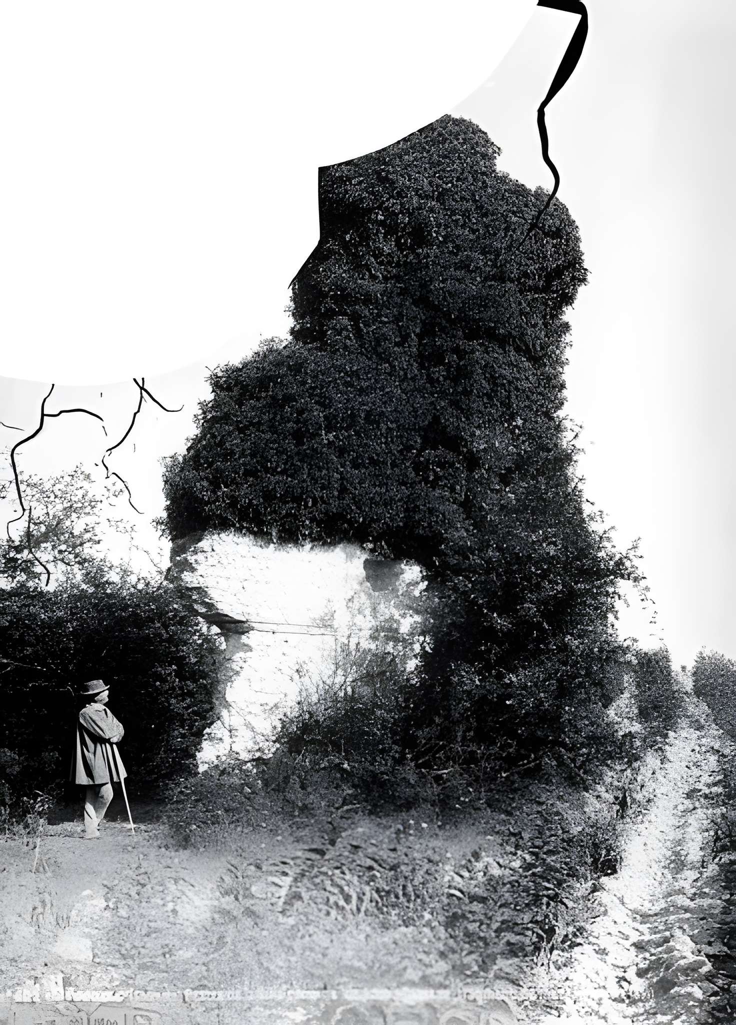 Villa gallo-romaine de la Coue d'Auzenat à Brossac