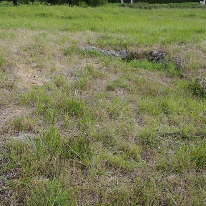 Photo de Villa gallo-romaine de Nontronneau