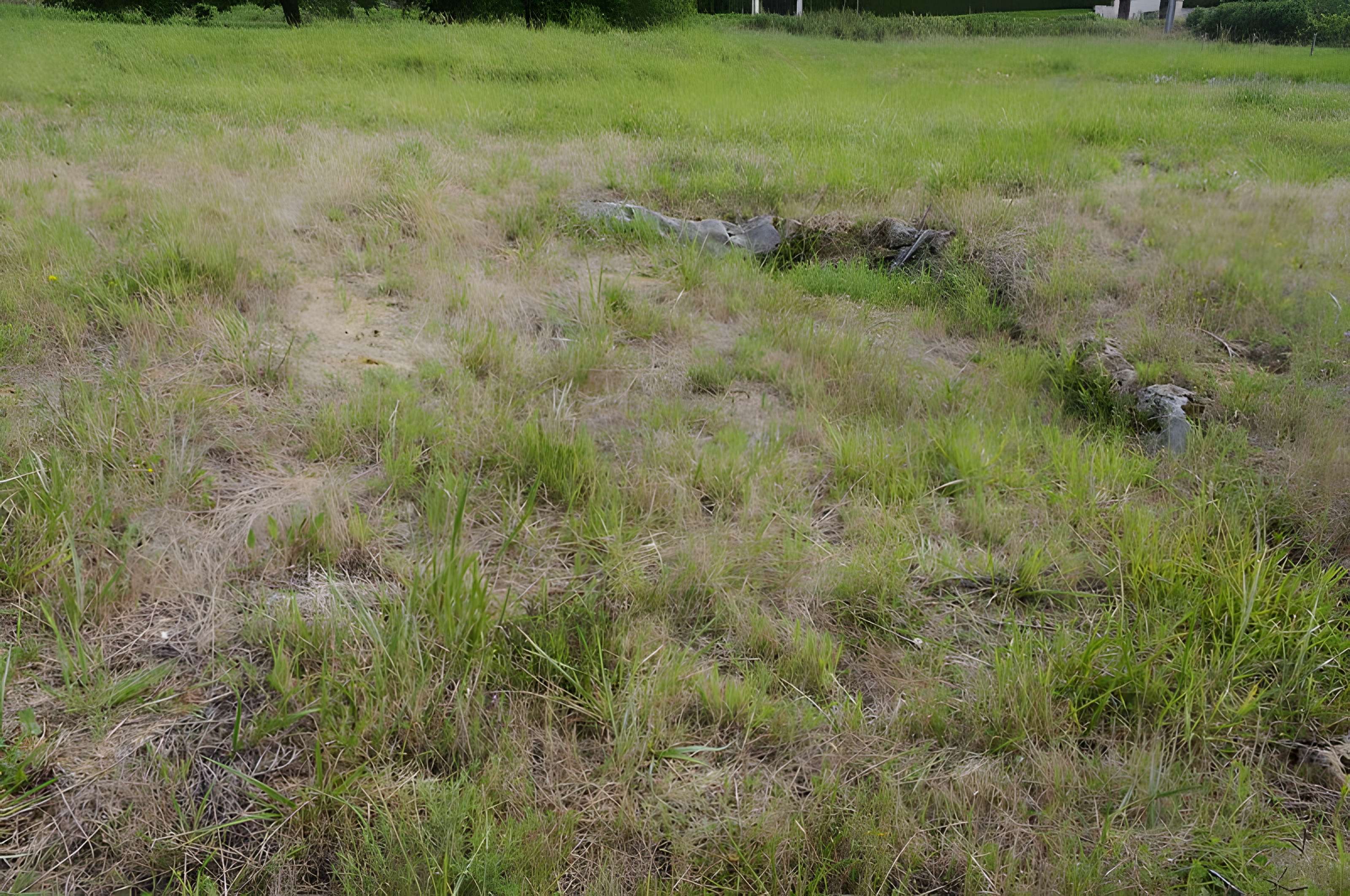 Villa gallo-romaine de Nontronneau 