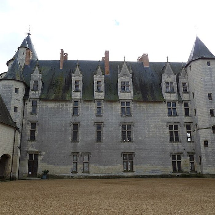 Photo de Château du Plessis-Bourré