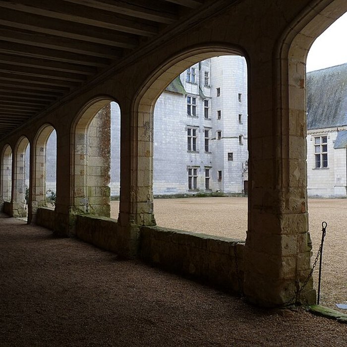 Photo de Château du Plessis-Bourré