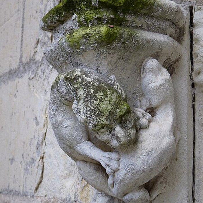 Photo de Château du Plessis-Bourré