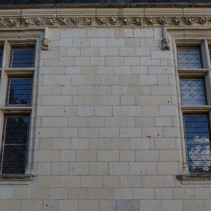 Photo de Château du Plessis-Bourré