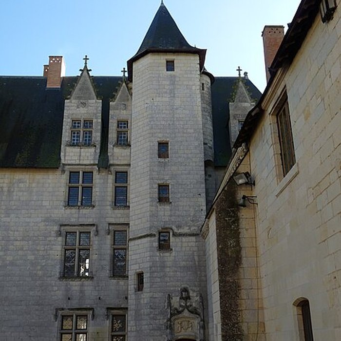 Photo de Château du Plessis-Bourré