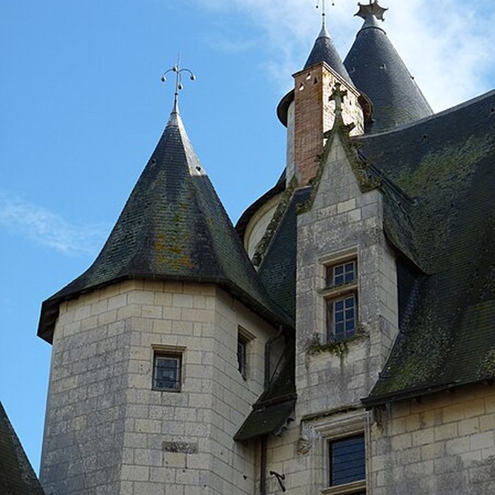 Photo de Château du Plessis-Bourré