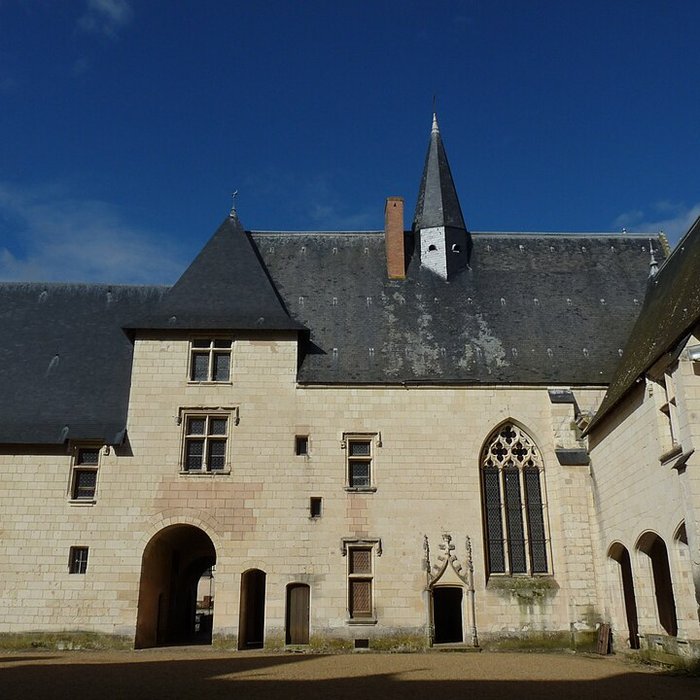 Photo de Château du Plessis-Bourré