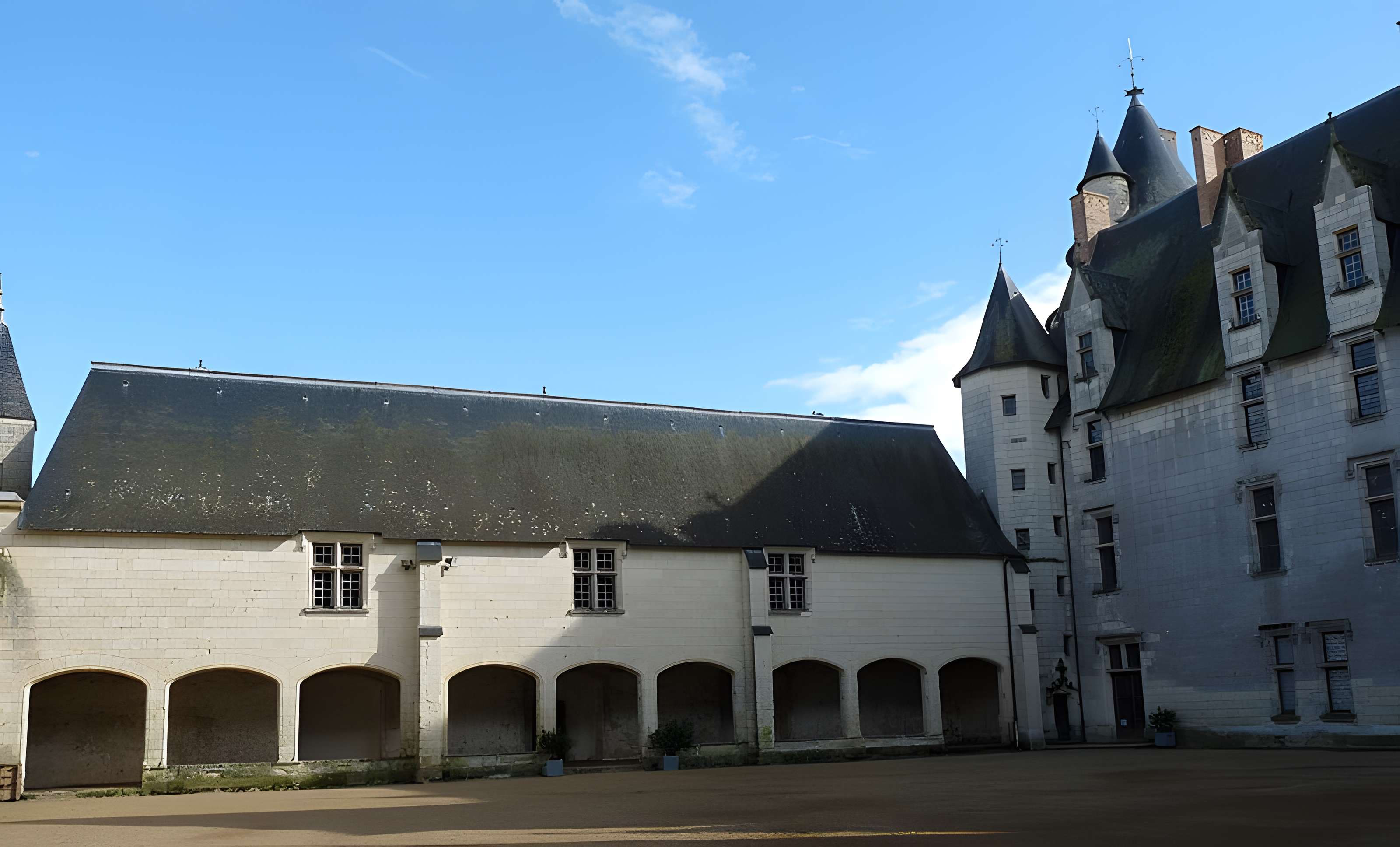 Château du Plessis-Bourré