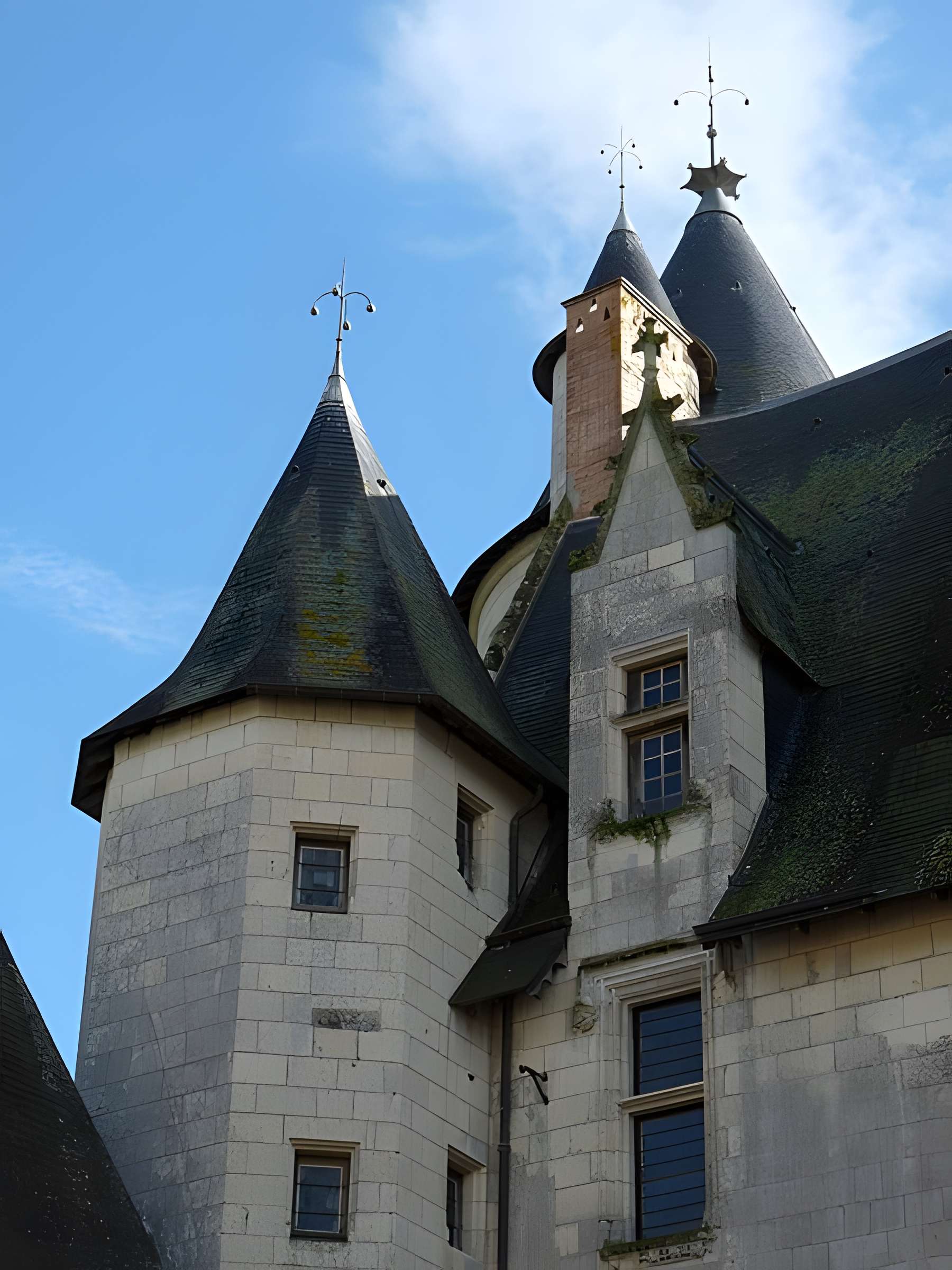 Château du Plessis-Bourré