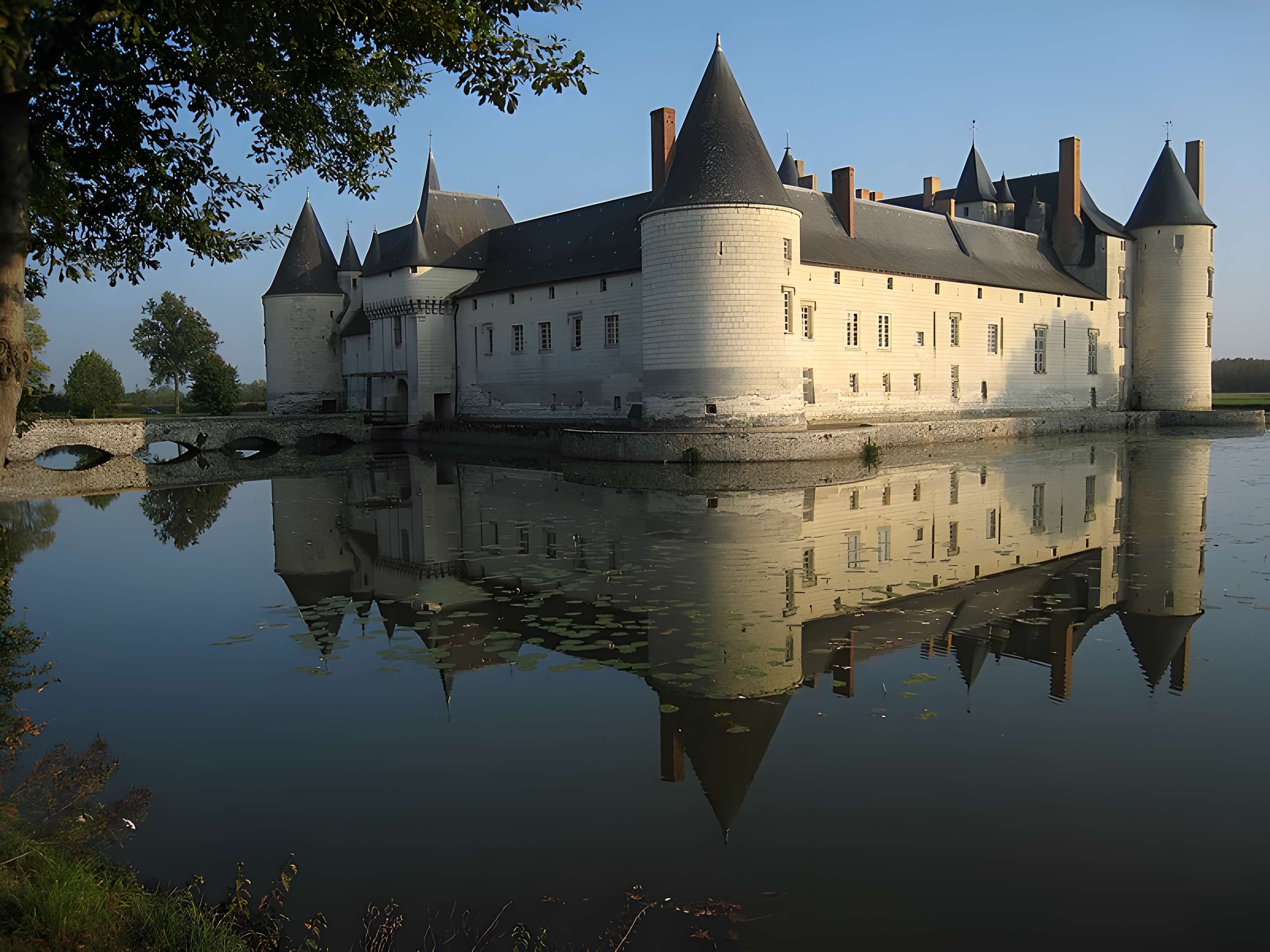 Château du Plessis-Bourré