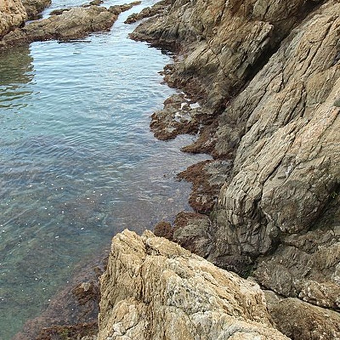 Photo de Vivier maritime de la Gaillarde à Roquebrune-sur-Argens