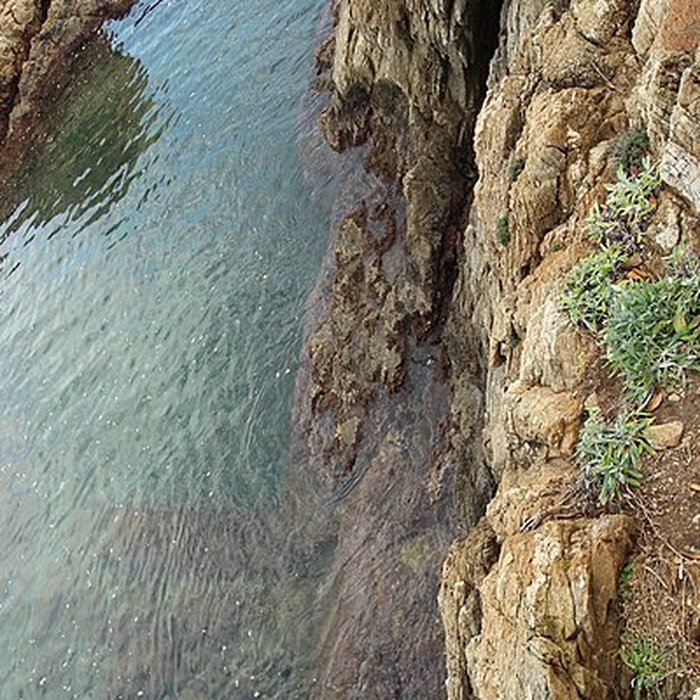 Photo de Vivier maritime de la Gaillarde à Roquebrune-sur-Argens