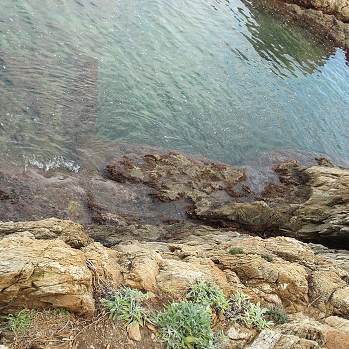 Photo de Vivier maritime de la Gaillarde à Roquebrune-sur-Argens