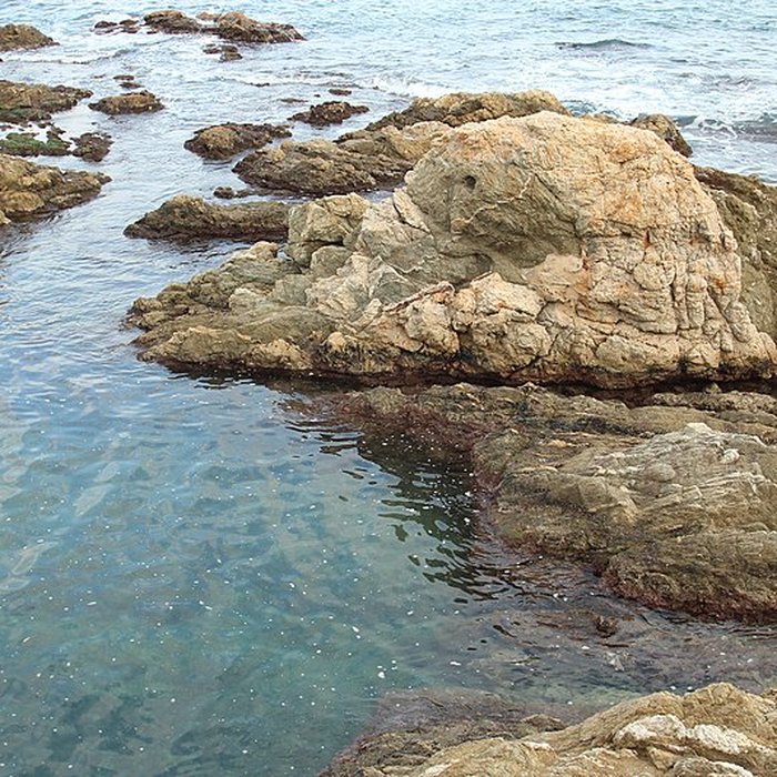 Photo de Vivier maritime de la Gaillarde à Roquebrune-sur-Argens